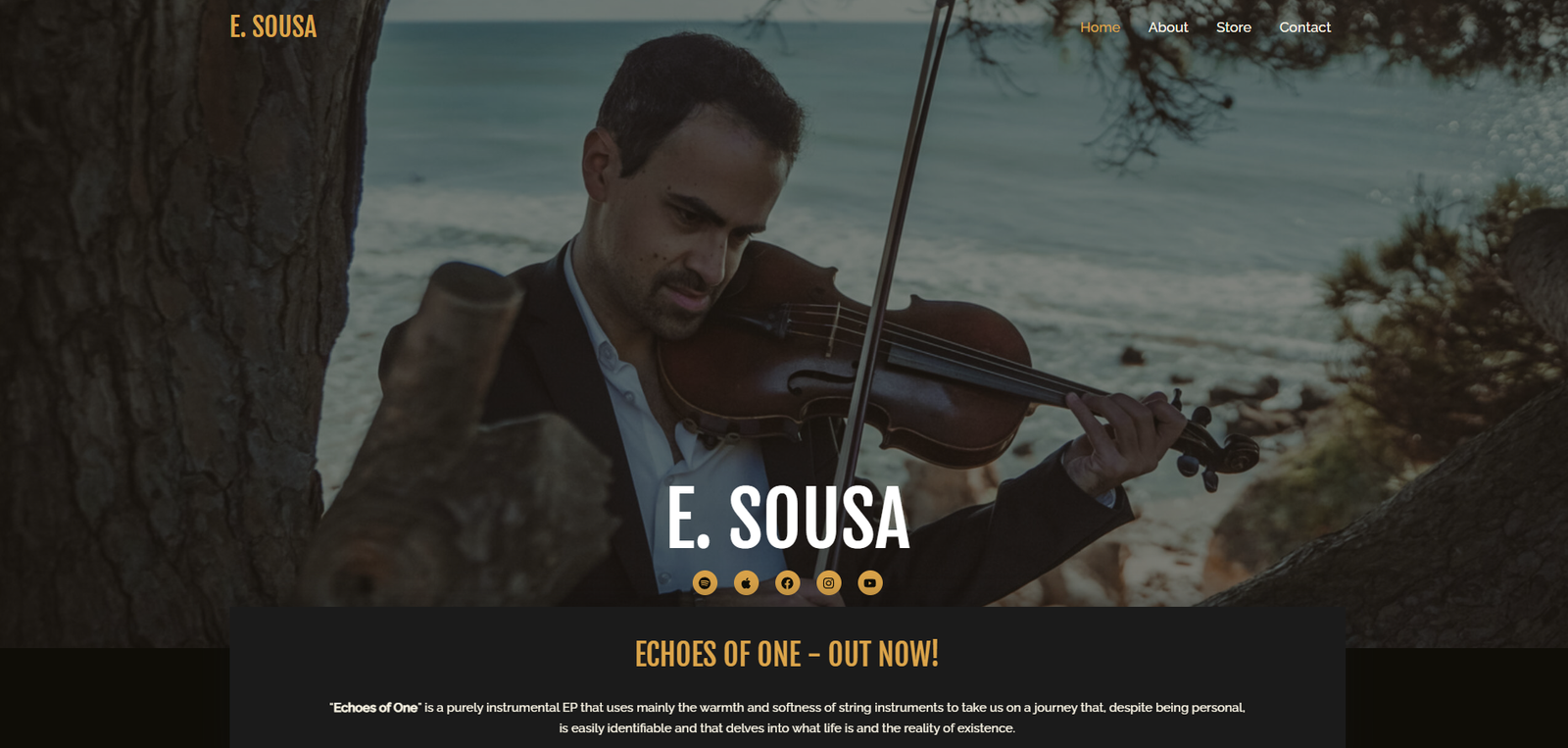 E. Sousa Musician website homepage